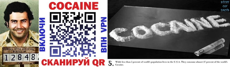 купить наркотики цена  Еманжелинск  hydra как войти  Cocaine Fish Scale 